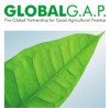 Quy trình tư vấn xây dựng và áp dụng tiêu chuẩn GLOBAL GAP