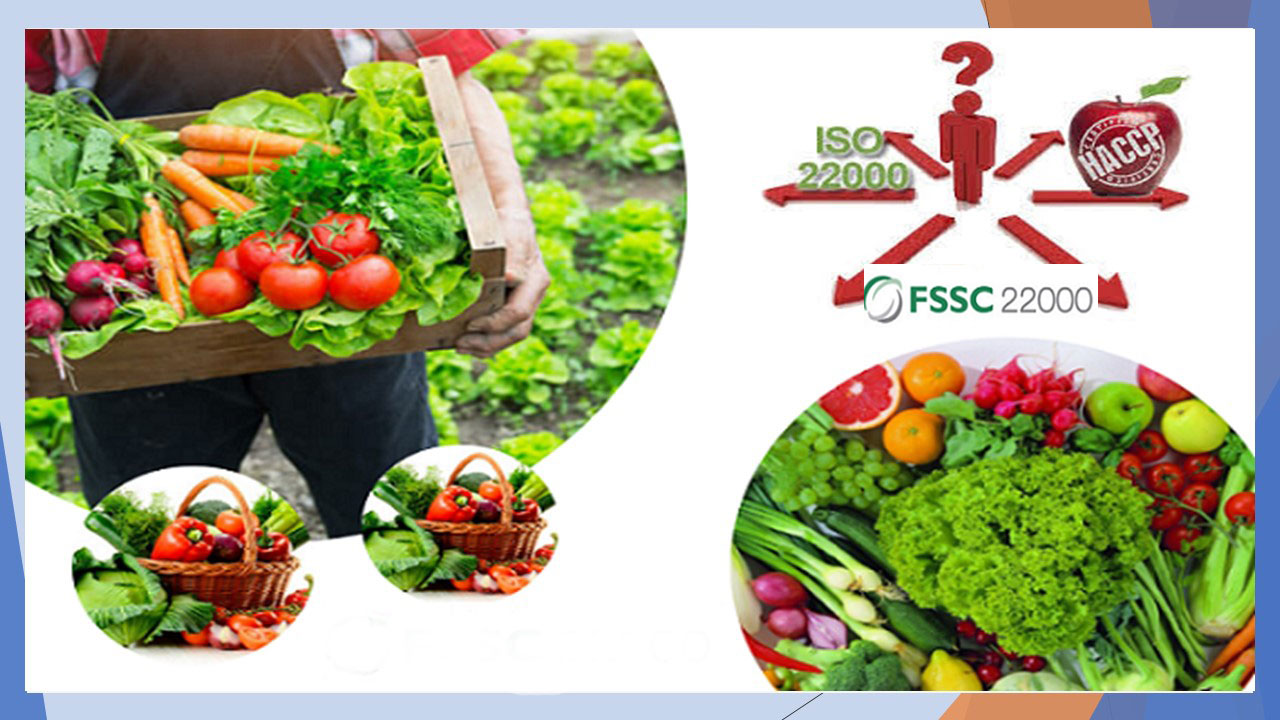 Điểm giống và khác nhau giữa HACCP, ISO 22000 và FSSC 22000