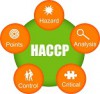 HACCP - Consulting Service