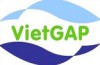 VietGAP Consulting